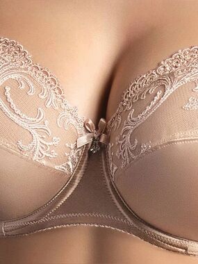 Lise Charmel Splendeur Soie Wired Nude/Dusky Silk Full Cup Bra 34F DDD